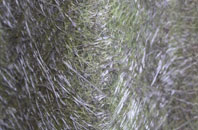 Upper Coberley fibreglass roof work